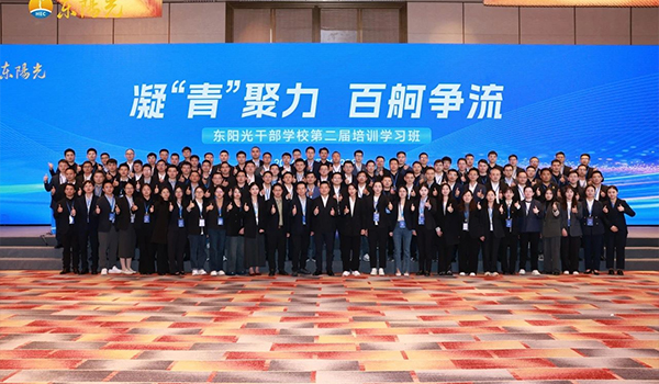 凝“青”聚力，百舸争流 | 开云体育下载干部学校2024年第二届培训学习班圆满结束